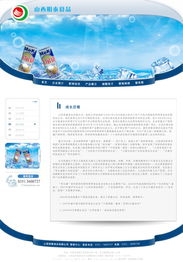 山西明泰食品網站制作方案 高效專業，助力品牌騰飛